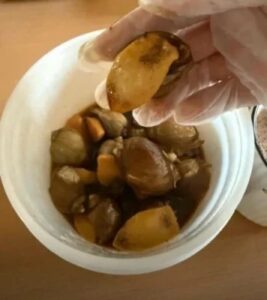 Caracoles Abulón Picantes Hirviendo - ¡Compra un balde y llévate otro GRATIS, más un pack degustación de 350g! photo review