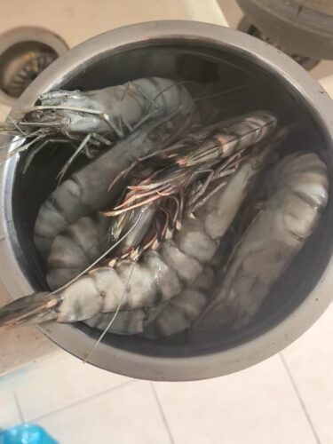 Langostinos Tigre Negros Grado “Colossal” photo review