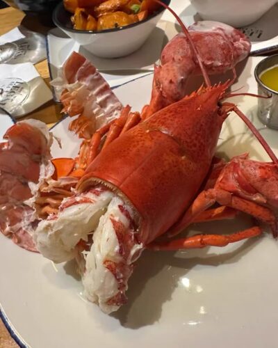 Langosta Viva Importada de Maine, USA photo review