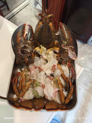 Langosta Viva Importada de Maine, USA photo review