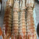 Langostas Mantis Gigantes Vivas - Enviadas con Oxígeno para Máxima Frescura photo review