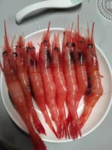 Click to view full screen Langostinos Árticos Dulces de Primera Calidad para Sashimi photo review