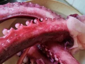 Click to view full screen Patas de Pulpo: Frescura y Crocante al Instante photo review