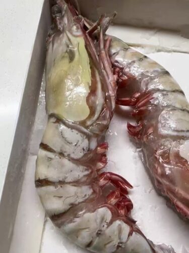 Langostinos Tigre Negros Grado “Colossal” photo review