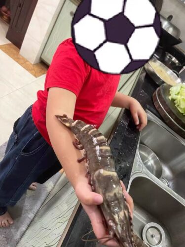 Langostinos Tigre Negros Grado “Colossal” photo review